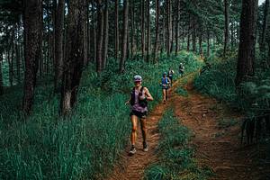 BIB: 
                            <button type="button" onclick="openModal(25659925)" class="btn btn-primary btn-sm float-right btn-popup" data-toggle="modal" data-target=".modal-high-quality">
                        <i class="fas fa-shopping-cart"></i> Add to Cart
                    </button>
                                            <button type="button" onclick="isThisMe(25659925, true)" class="btn btn-success btn-sm float-right btn-popup btn-isme hidden" data-toggle="tooltip" data-placement="bottom" title="นี่คือรูปของคุณใช่ไหม คลิกที่นี่เพื่อเอาเข้าอัลบั้ม">
                        <i class="fas fa-plus"></i> Add to album
                    </button>
                    <button type="button" onclick="isThisMe(25659925, false)" class="btn btn-warning btn-sm float-right btn-popup btn-isnotme hidden">
                        <i class="fas fa-ban"></i> Remove from album
                    </button>